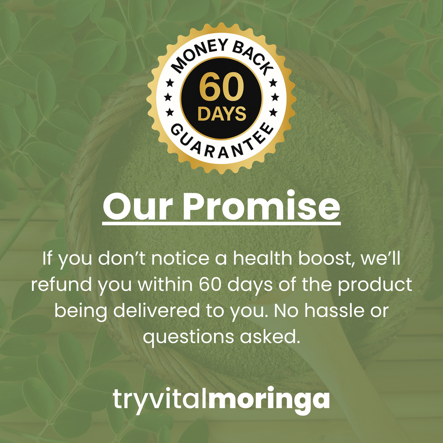 100% Organic Moringa Capsules