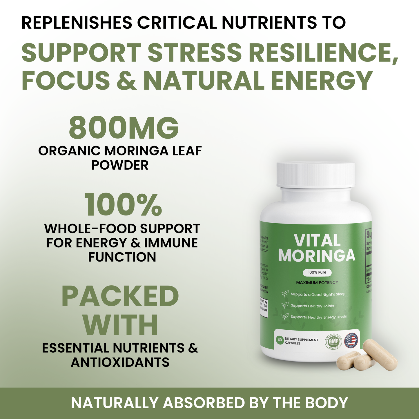 100% Organic Moringa Capsules